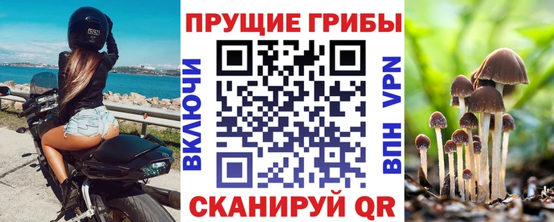 купить наркоту  Чишмы  Псилоцибиновые грибы Cubensis 